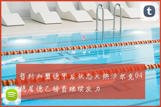 哲科加盟德甲后状态火热沙尔克04稳居德乙榜首继续发力