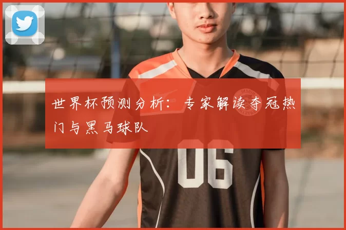 世界杯预测分析：专家解读夺冠热门与黑马球队