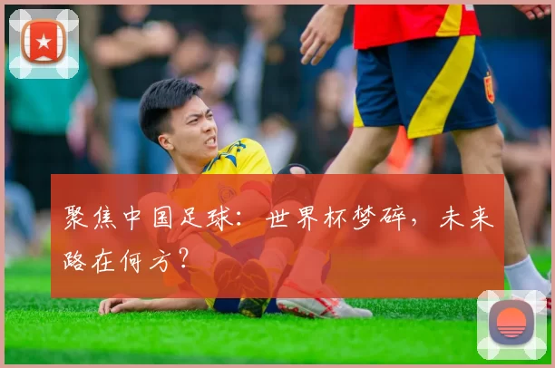聚焦中国足球:世界杯梦碎,未来路在何方?