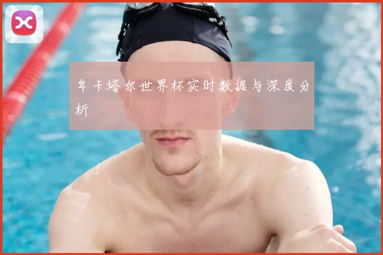 年卡塔尔世界杯实时数据与深度分析