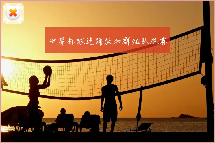 世界杯球迷踊跃加群组队观赛