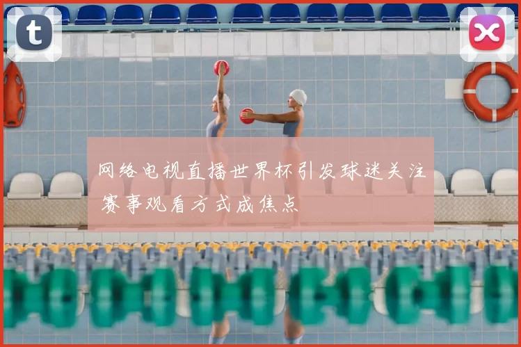 网络电视直播世界杯引发球迷关注 赛事观看方式成焦点
