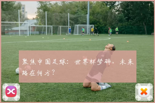 聚焦中国足球:世界杯梦碎,未来路在何方?