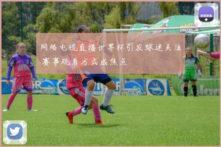 网络电视直播世界杯引发球迷关注 赛事观看方式成焦点