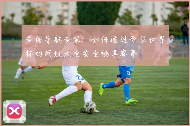 专访导航专家：如何通过登录世界杯的网址大全安全畅享赛事