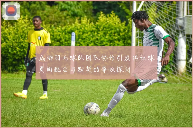 成都羽毛球队团队协作引发热议球员间配合与默契的争议探讨