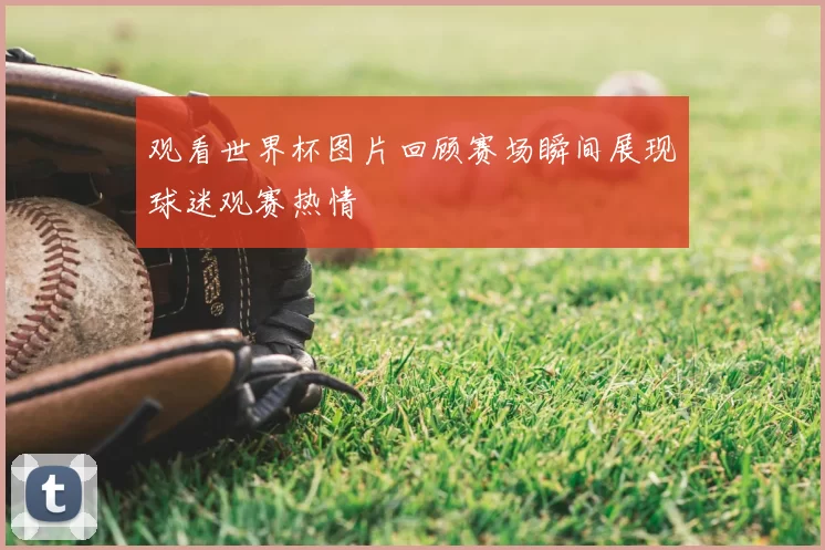 观看世界杯图片回顾赛场瞬间展现球迷观赛热情