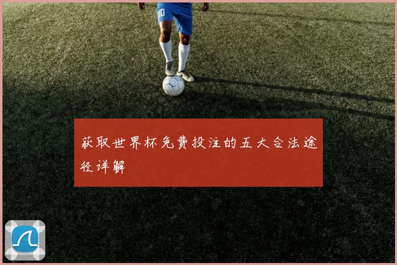 获取世界杯免费投注的五大合法途径详解