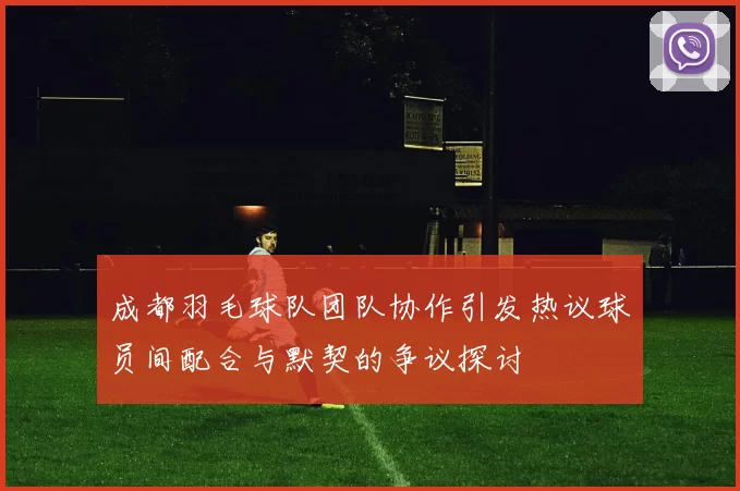 成都羽毛球队团队协作引发热议球员间配合与默契的争议探讨
