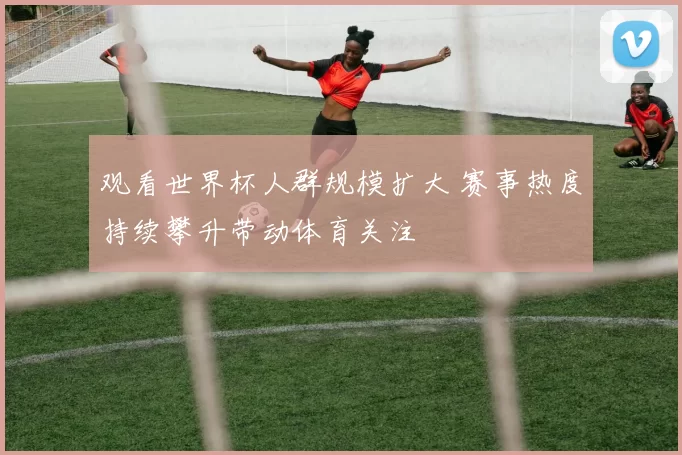 观看世界杯人群规模扩大 赛事热度持续攀升带动体育关注