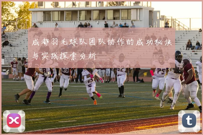成都羽毛球队团队协作的成功秘诀与实践探索分析